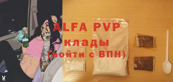 бошки Иннополис
