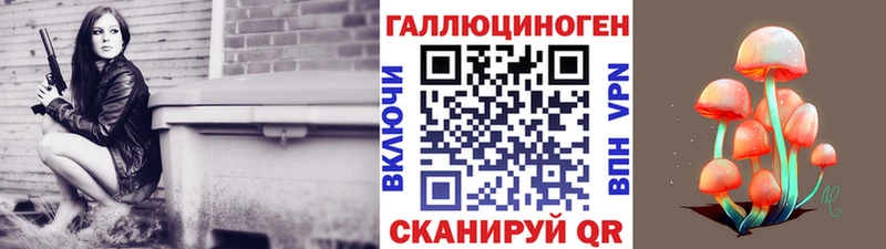 Галлюциногенные грибы GOLDEN TEACHER  магазин продажи наркотиков  MEGA ссылка  Северобайкальск 