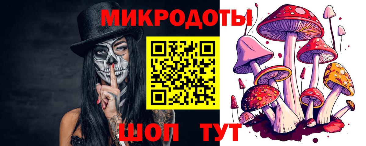 Псилоцибиновые грибы мицелий Северобайкальск
