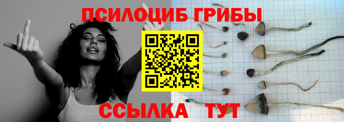 Мефедрон кристаллы  Бошки Шишки  ТГК  ГАШ  Лсд 25  Вход с VPN  Северобайкальск  ГАШИШ 