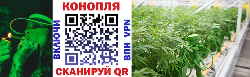 Шишки марихуана Ganja  Северобайкальск 